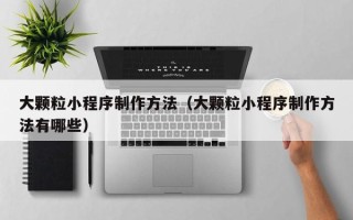 滨州大颗粒小程序制作方法（大颗粒小程序制作方法有哪些）