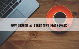 滨州塑料网站建设（我的塑料网盈利模式）